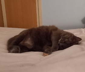 Zoe