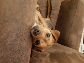 Charlie