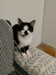 Winnie