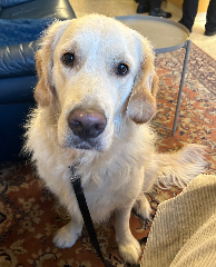 Sam