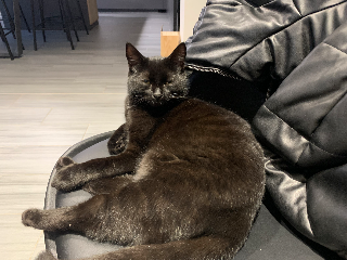 Victor