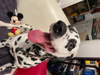 Max