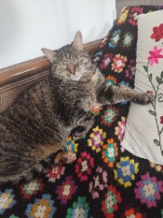 Frida