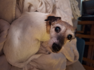 Maggie