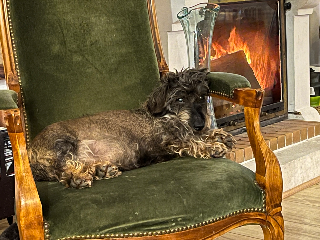 Gavroche
