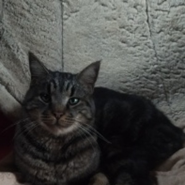 Aramis