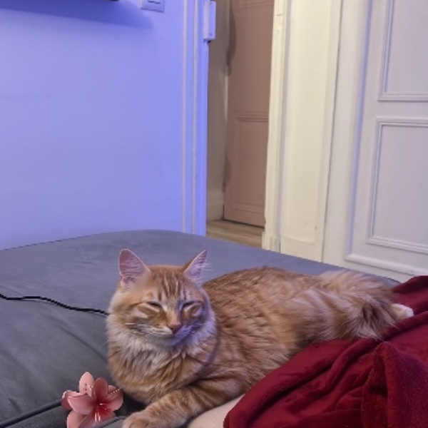 Aslan