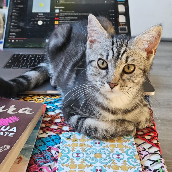Anya