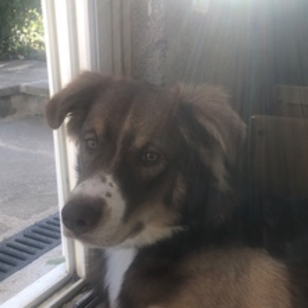Aiko