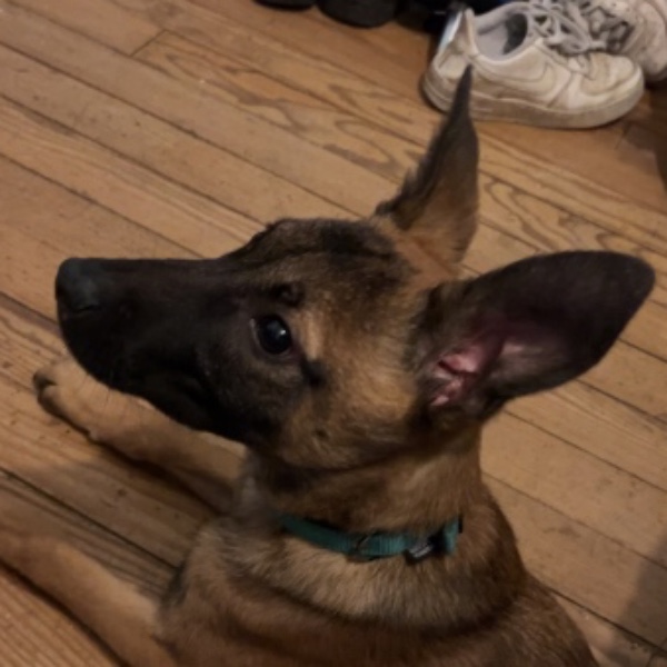 Vayko