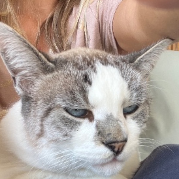 Minet