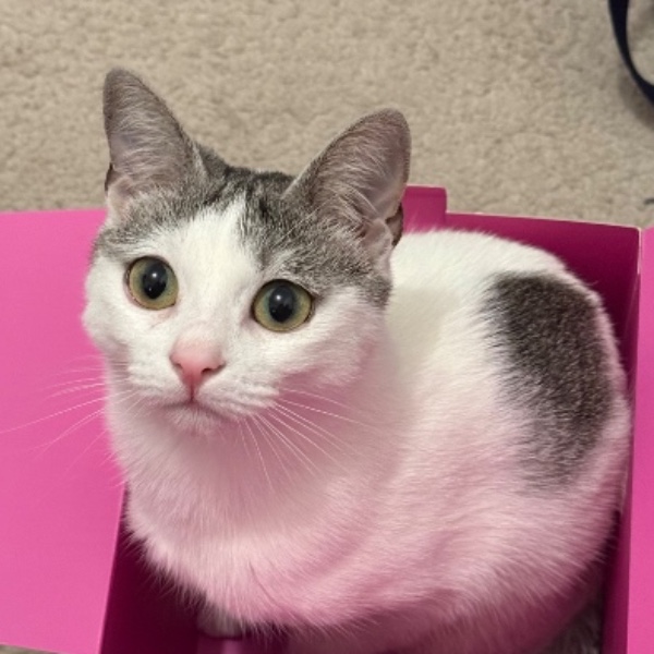 Mia