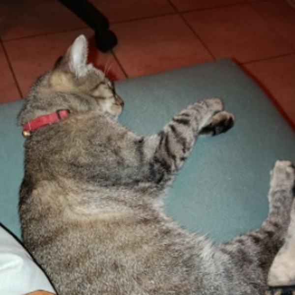 Olympe
