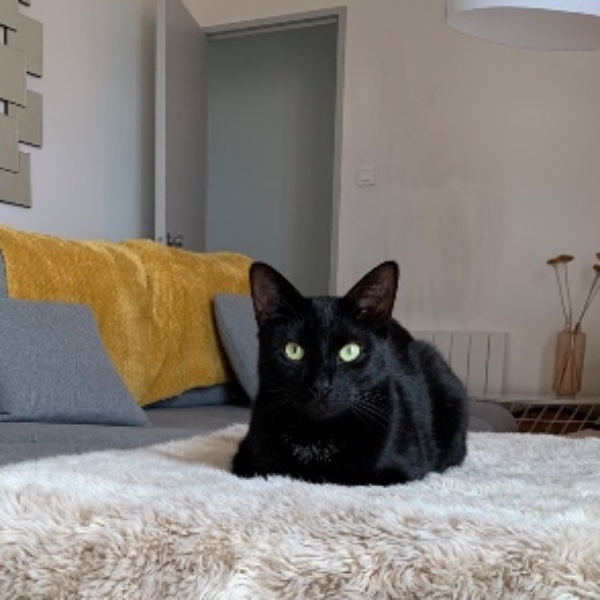 Milo