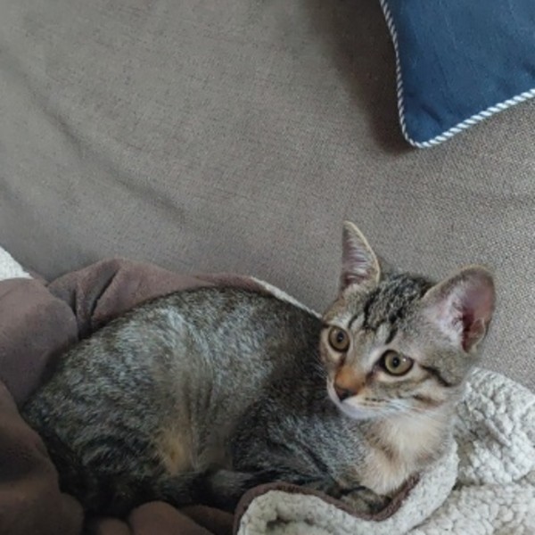 Hermione