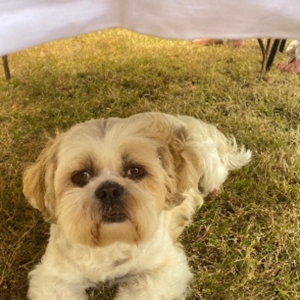 Loky