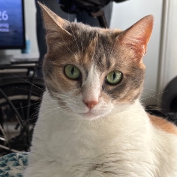 Mila