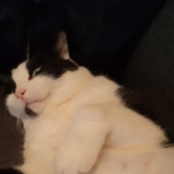 doudou
