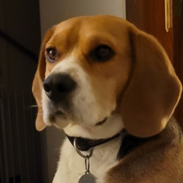 Tobby