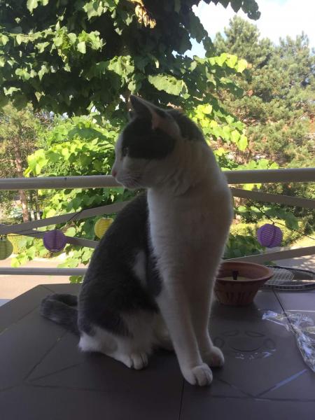 Mimi