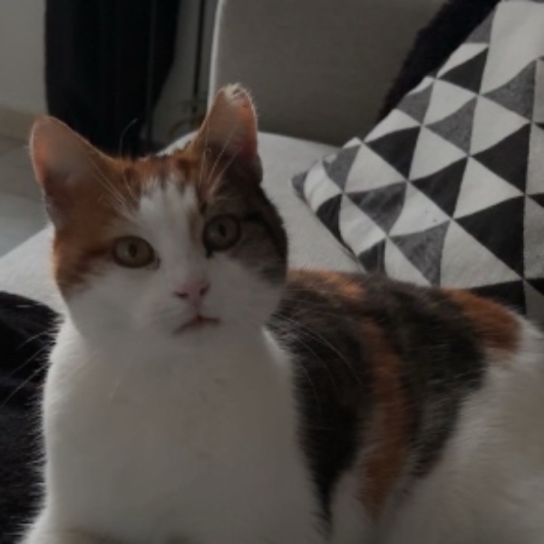 Caramel