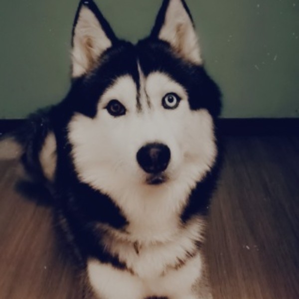 Astro