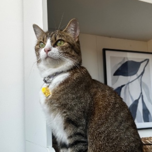 Nina