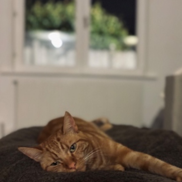 Bob