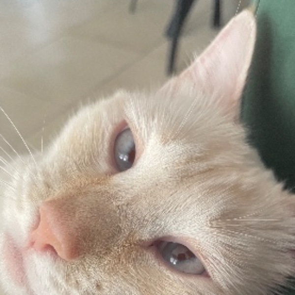 Clarence