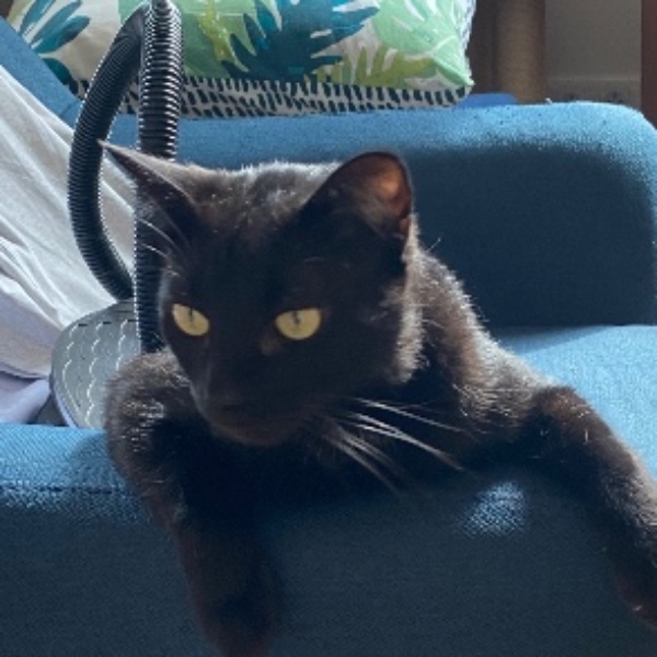 Onyx