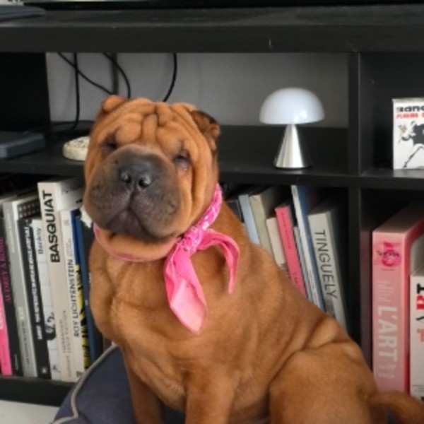 Mademoiselle Lulu