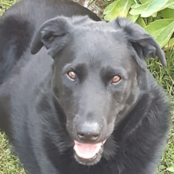 Lena
