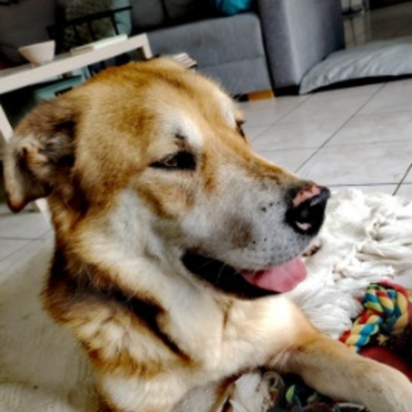 Diego