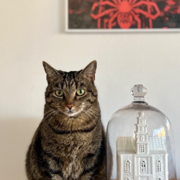 Nala