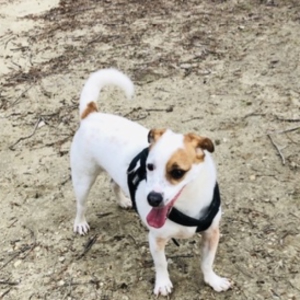 Paco