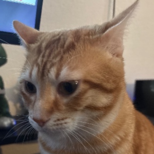 Yfrite