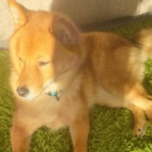Akito