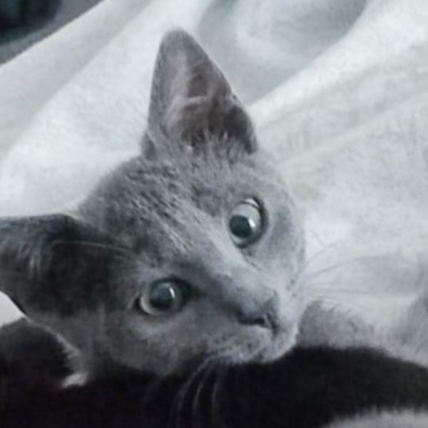 Olympe