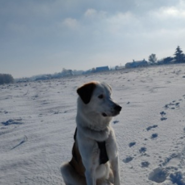 Valka