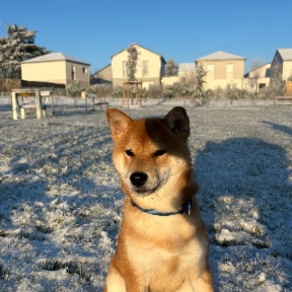 Bijou