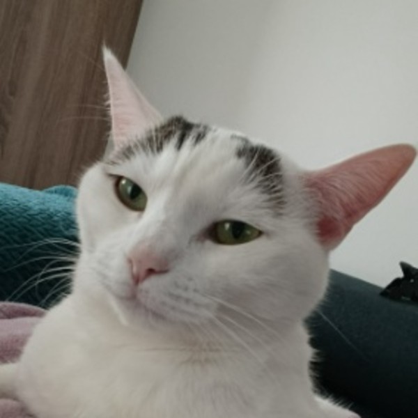 Bella