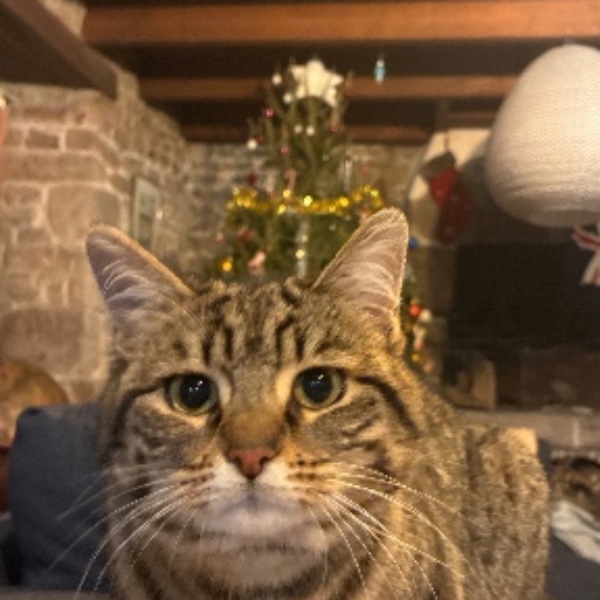 Mystère