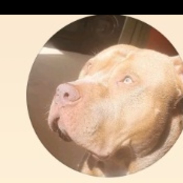 Marley