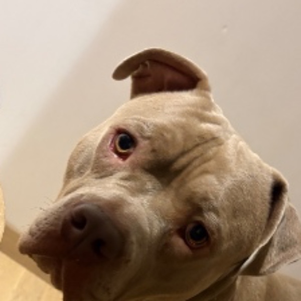 Marley