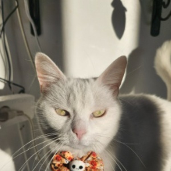 Yuki