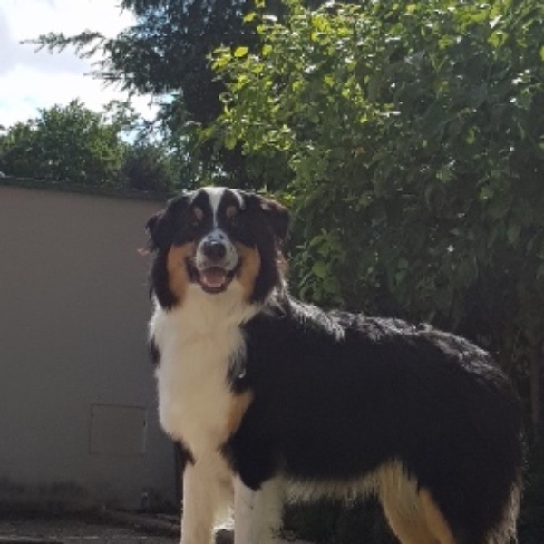 Démon