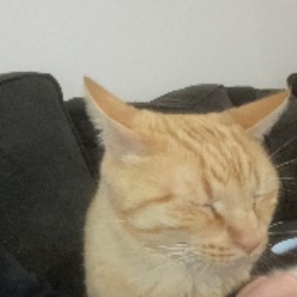 Titou