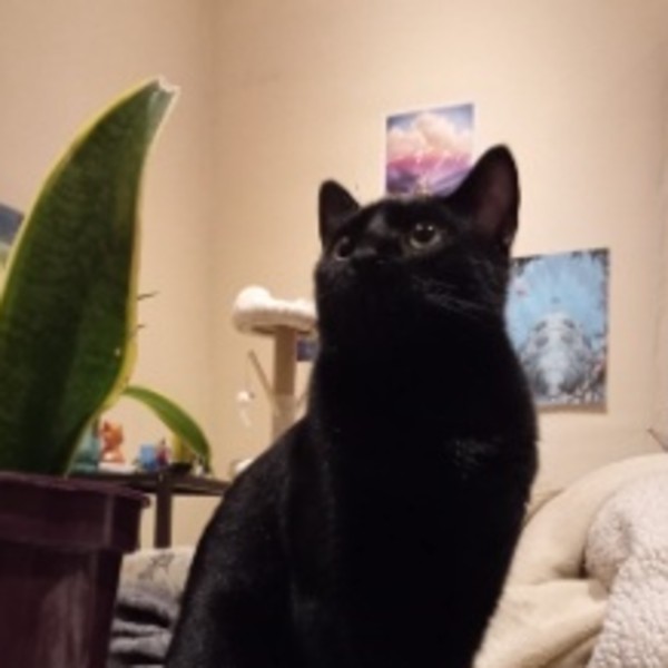 Freya