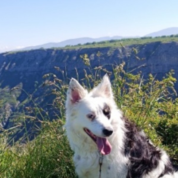 Zorka