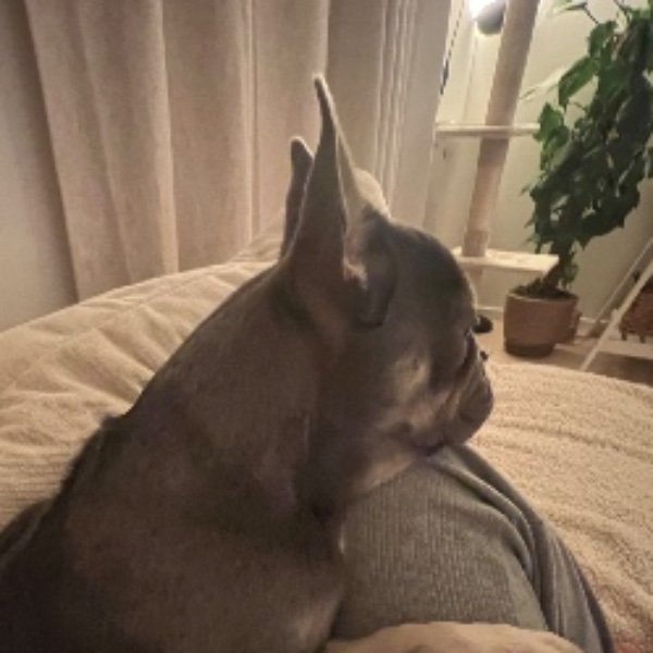 Mia